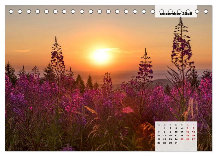 Produktbild: Rh&ouml;ner R&ouml;schen - ein Sommerm&auml;rchen in der Hochrh&ouml;n (Tischkalender 2026 DIN A5 quer), CALVENDO Monatskalender