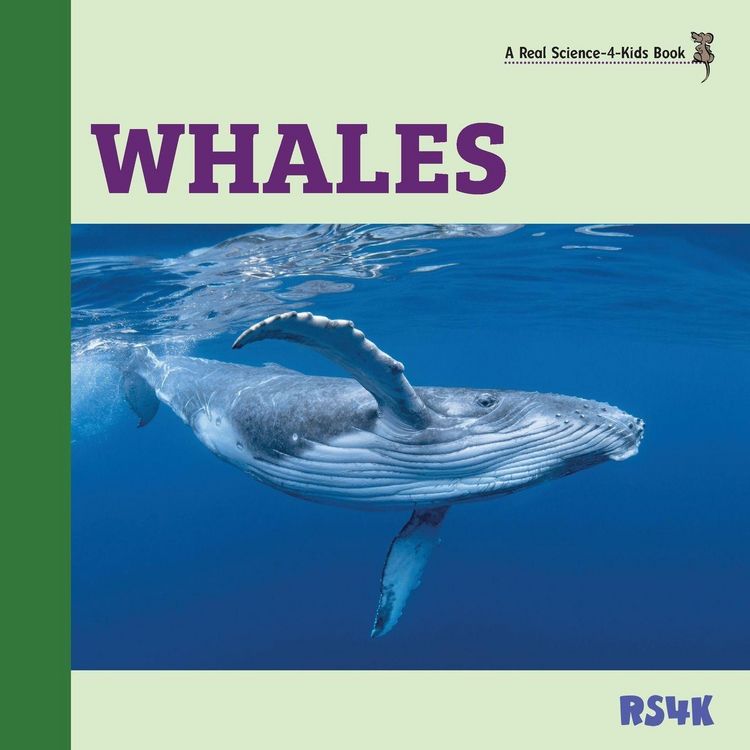 Produktbild: Whales