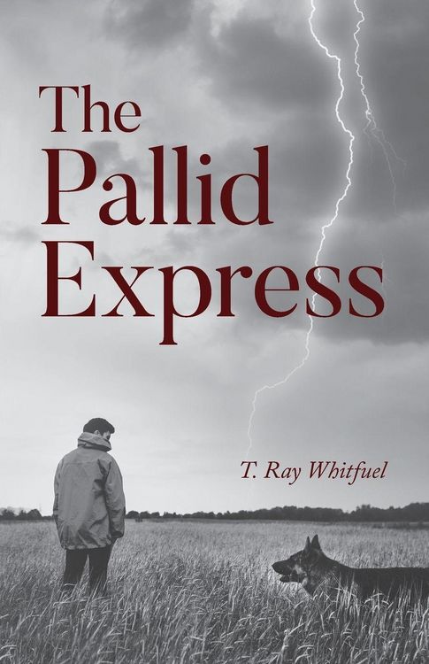 Produktbild: The Pallid Express