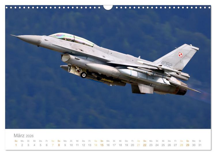 Produktbild: VIPER ACTION - F-16 FIGHTING FALCON (Wandkalender 2026 DIN A3 quer), CALVENDO Monatskalender