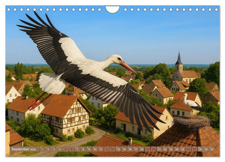 Produktbild: &Uuml;ber dem Vogelflug (Wandkalender 2026 DIN A4 quer), CALVENDO Monatskalender