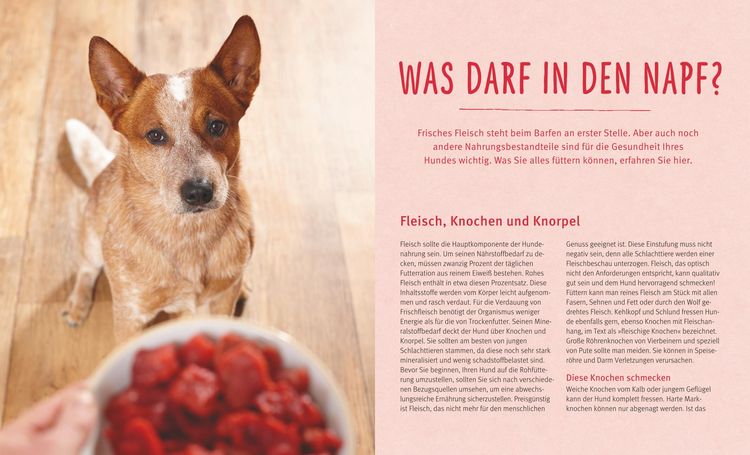 Produktbild: BARF f&uuml;r Hunde