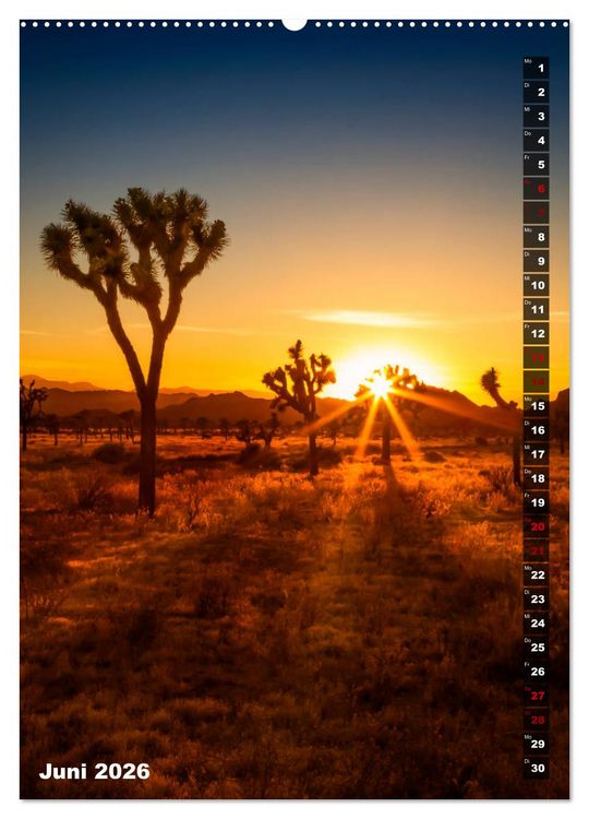 Produktbild: Impressionen aus dem JOSHUA TREE NATIONAL PARK (Wandkalender 2026 DIN A2 hoch), CALVENDO Monatskalender