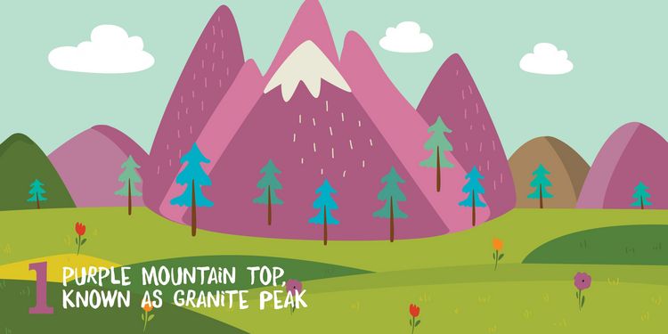 Produktbild: Let's Count Montana
