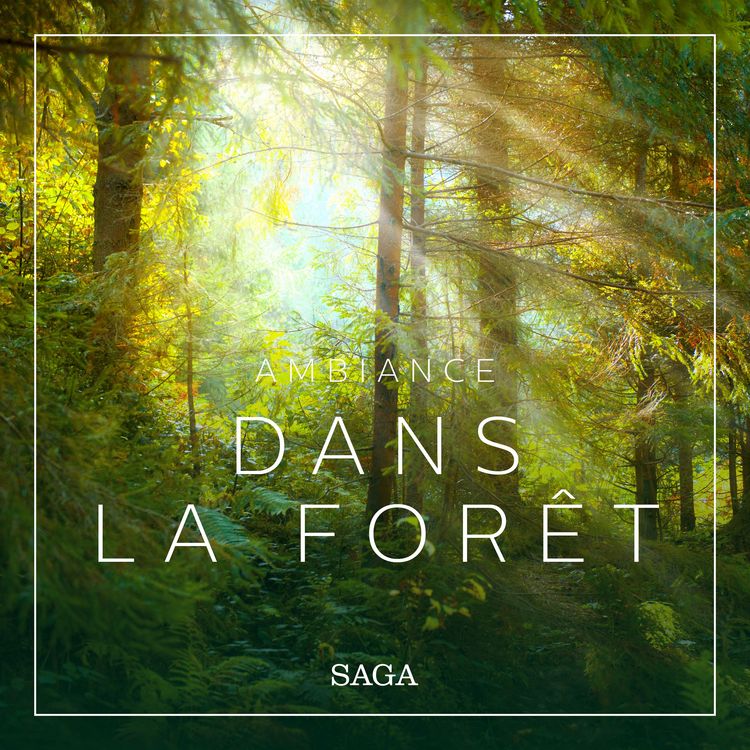 Produktbild: Ambiance &ndash; Dans la for&ecirc;t