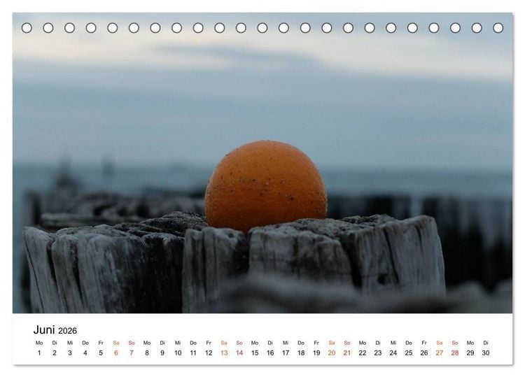 Produktbild: Wieder an der Nordsee (Tischkalender 2026 DIN A5 quer), CALVENDO Monatskalender