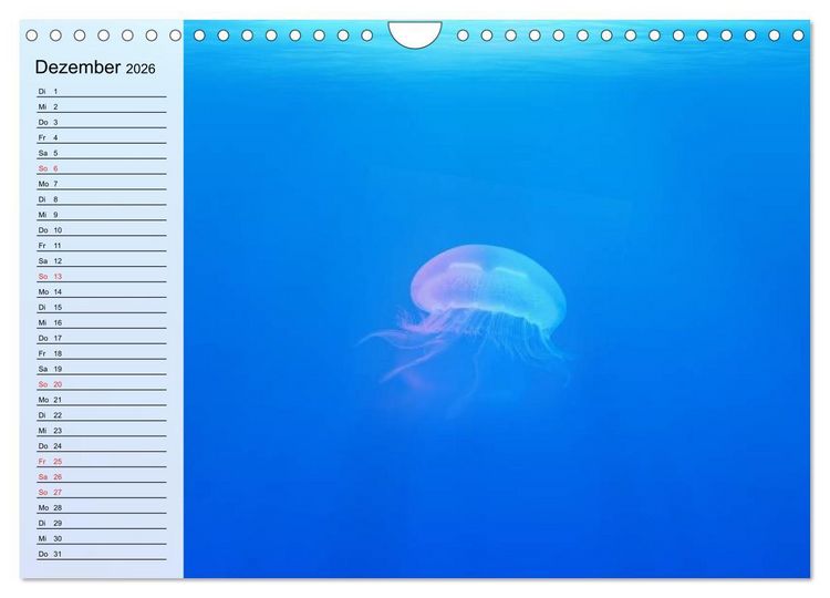 Produktbild: Quallen. Die Welt der Medusen (Wandkalender 2026 DIN A4 quer), CALVENDO Monatskalender