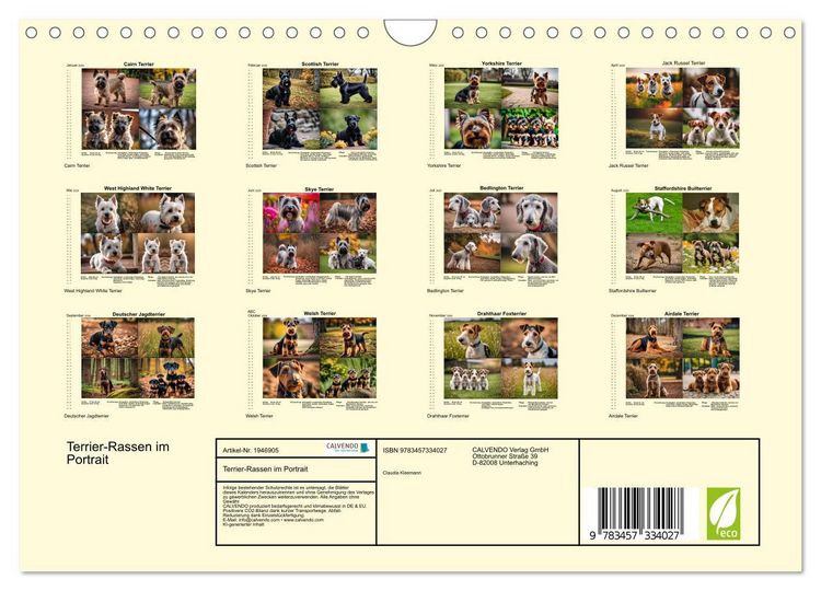 Produktbild: Terrier-Rassen im Portrait (Wandkalender 2026 DIN A4 quer), CALVENDO Monatskalender