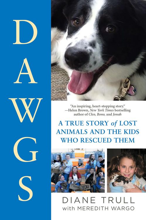 Produktbild: DAWGS