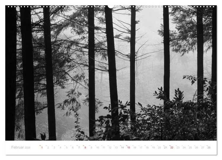 Produktbild: Mystischer Schwarzwald (Wandkalender 2026 DIN A2 quer), CALVENDO Monatskalender