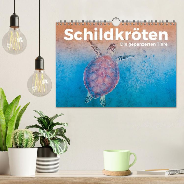Produktbild: Schildkr&ouml;ten - Die gepanzerten Tiere. (Wandkalender 2026 DIN A4 quer), CALVENDO Monatskalender