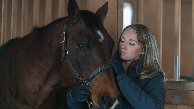 Produktbild: Heartland - Paradies f&uuml;r Pferde: Staffel 9.2 (Episode 10-18) [3 DVDs]