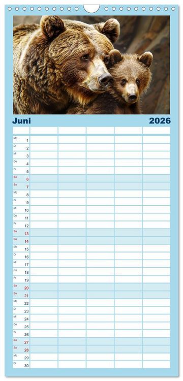 Produktbild: Familienplaner 2026 - Tierkinder des Nordens mit 5 Spalten (Wandkalender, 21 x 45 cm) CALVENDO