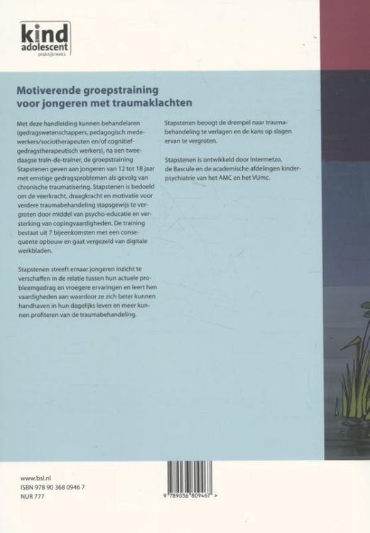 Produktbild: Motiverende groepstraining voor jongeren met traumaklachten