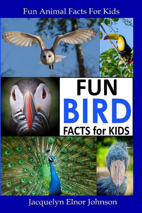 Produktbild: Fun Bird Facts for Kids