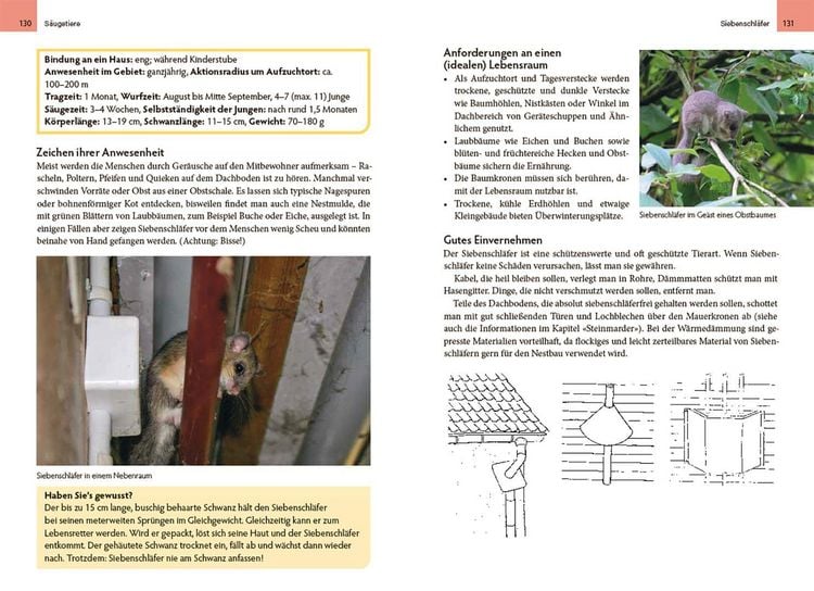 Produktbild: Wildtiere am Haus