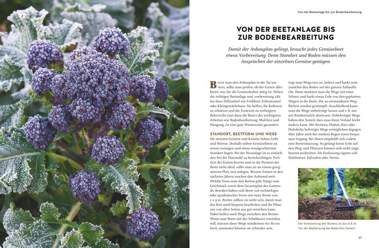 Produktbild: Wintergem&uuml;se anbauen