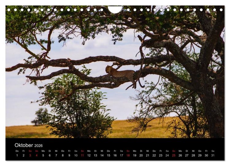 Produktbild: Wildes Afrika (Wandkalender 2026 DIN A4 quer), CALVENDO Monatskalender