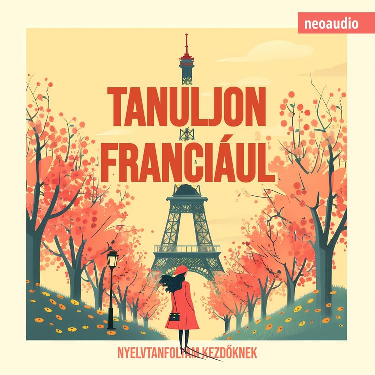 Produktbild: Nyelvtanfolyamok kezdőknek, Tanuljon franci&aacute;ul