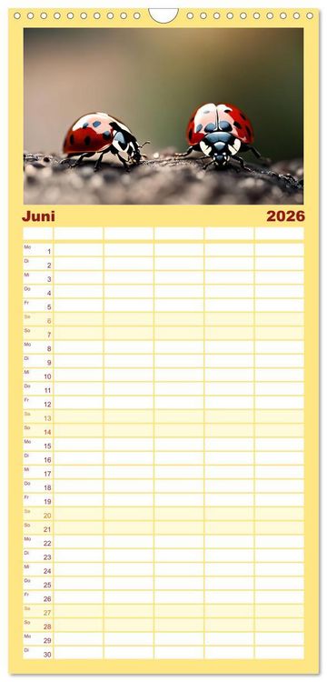 Produktbild: Familienplaner 2026 - Filigrane Insekten mit 5 Spalten (Wandkalender, 21 x 45 cm) CALVENDO