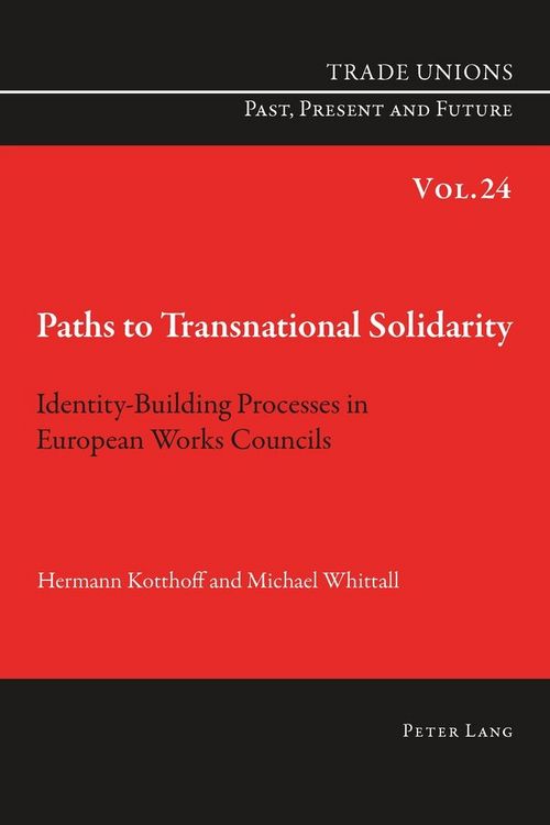 Produktbild: Paths to Transnational Solidarity