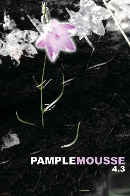 Produktbild: Pamplemousse 4.3