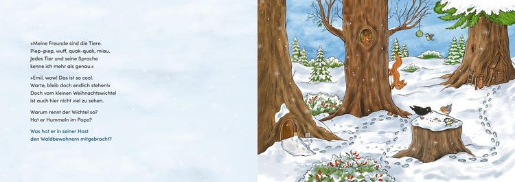 Produktbild: Wichtel Emil und der Weihnachtswirbel. Bilderbuch