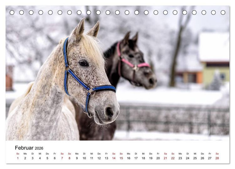 Produktbild: Masuren 2026 - Land der 1000 Seen (Tischkalender 2026 DIN A5 quer), CALVENDO Monatskalender