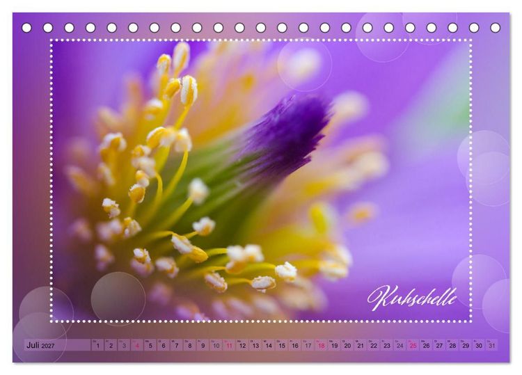 Produktbild: Bl&uuml;tenbouquet (Tischkalender 2027 DIN A5 quer), CALVENDO Monatskalender