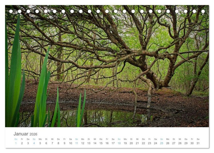 Produktbild: Juist - mein T&ouml;werland (Tischkalender 2026 DIN A5 quer), CALVENDO Monatskalender