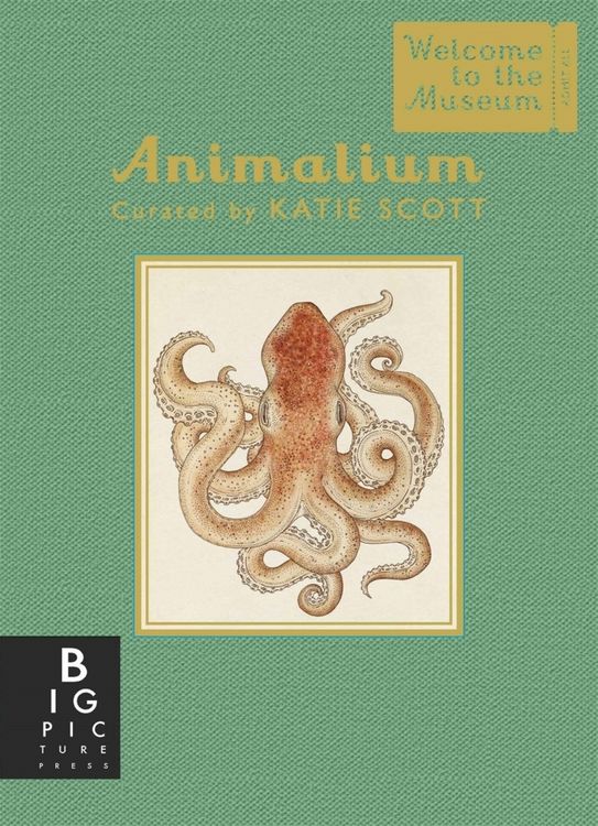 Produktbild: Animalium (Mini Gift Edition)
