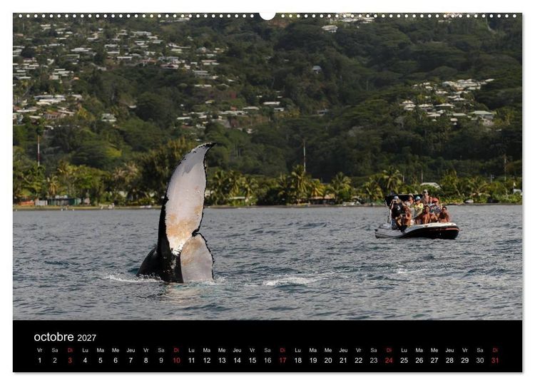 Produktbild: Polyn&eacute;sie fran&ccedil;aise - Magie des &icirc;les (Calendrier mural haut de gamme 2027 DIN A2 vertical), CALVENDO calendrier mensuel