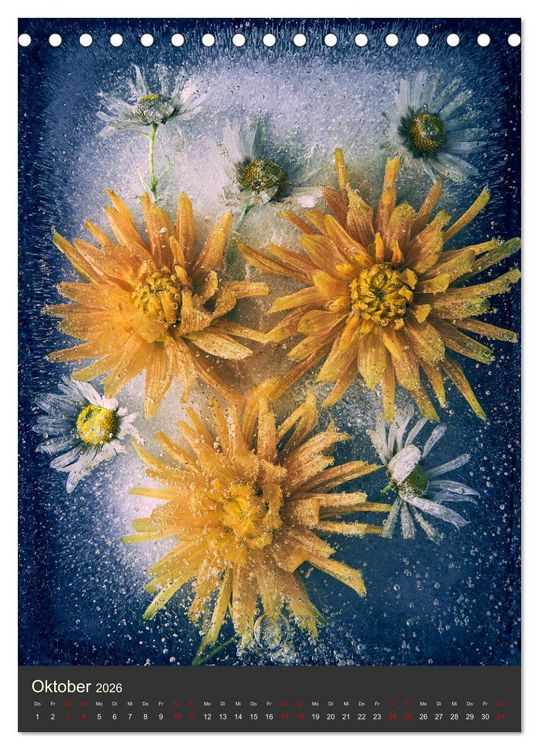Produktbild: Magische Eisblumen (Tischkalender 2026 DIN A5 hoch), CALVENDO Monatskalender