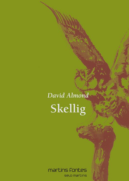 Produktbild: Skellig