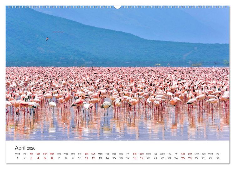 Produktbild: Kenya - a country like Africa (High Quality Premium Wall Calendar 2026 DIN A2 landscape),CALVENDO 12 Month Wall Calendar