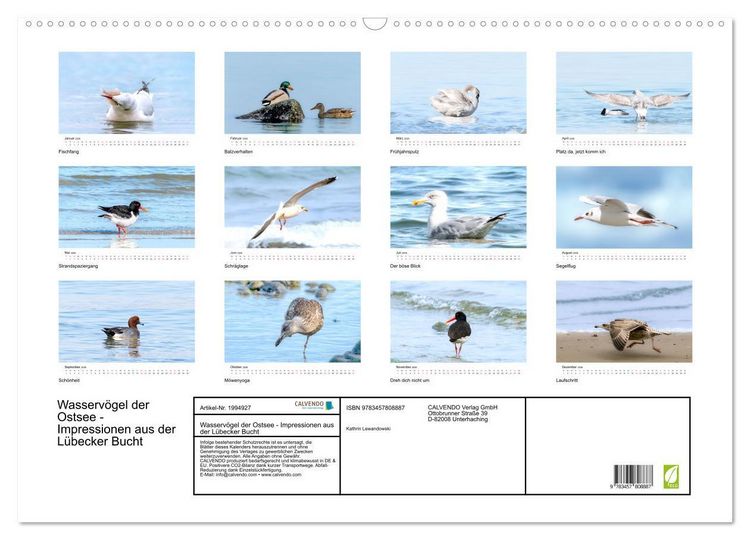 Produktbild: Wasserv&ouml;gel der Ostsee - Impressionen aus der L&uuml;becker Bucht (Wandkalender 2026 DIN A2 quer), CALVENDO Monatskalender