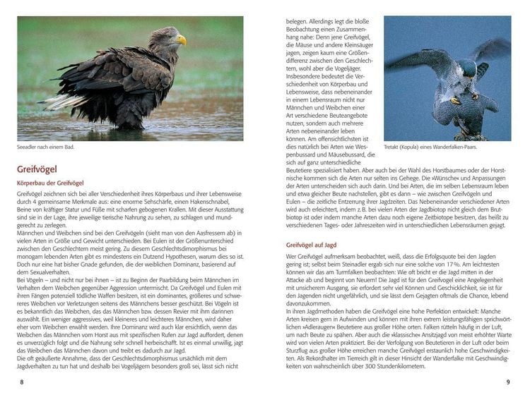 Produktbild: BLV Greifv&ouml;gel & Eulen