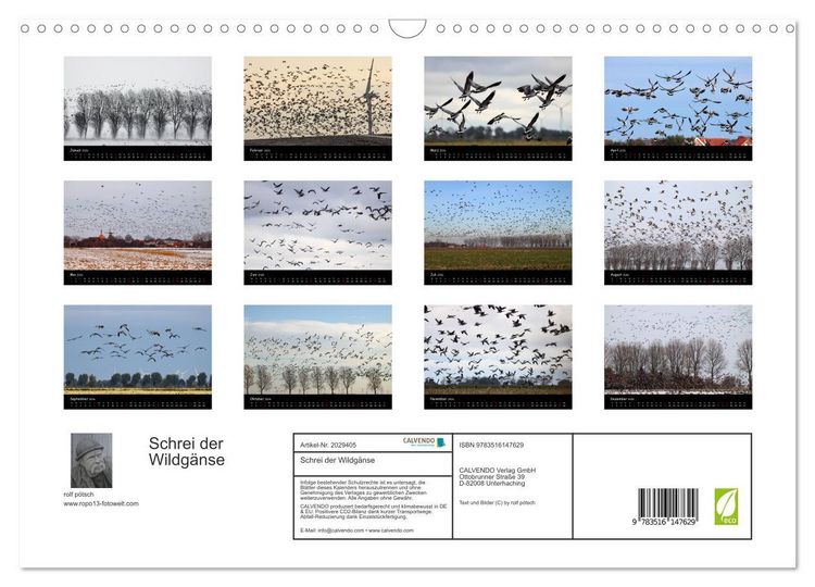 Produktbild: Schrei der Wildg&auml;nse (Wandkalender 2026 DIN A3 quer), CALVENDO Monatskalender