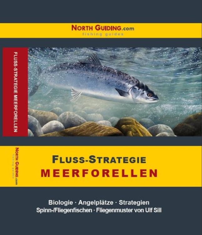 Produktbild: Fluss-Strategie - Meerforellen