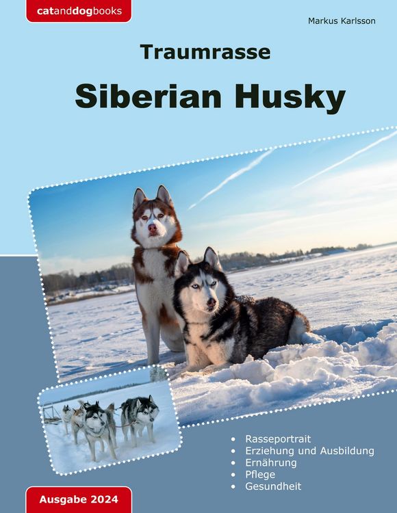 Produktbild: Traumrasse: Siberian Husky