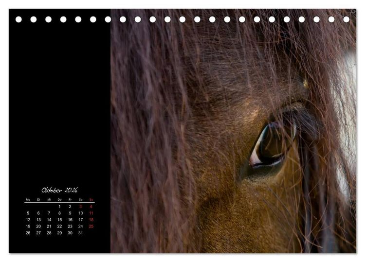 Produktbild: Irish Tinker (Tischkalender 2026 DIN A5 quer), CALVENDO Monatskalender