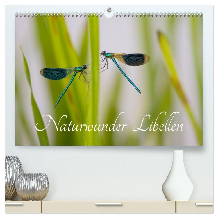 Produktbild: Naturwunder Libellen (hochwertiger Premium Wandkalender 2026 DIN A2 quer), Kunstdruck in Hochglanz