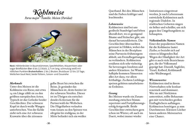 Produktbild: Das kleine Buch: Singv&ouml;gel