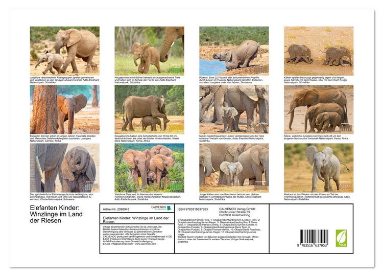 Produktbild: Elefanten Kinder: Winzlinge im Land der Riesen (hochwertiger Premium Wandkalender 2026 DIN A2 quer), Kunstdruck in Hochglanz
