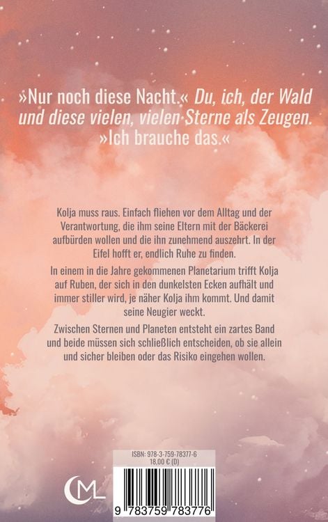 Produktbild: Nach dem Sturm die Stille