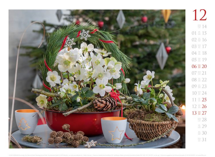 Produktbild: Blumenzauber Kalender 2026