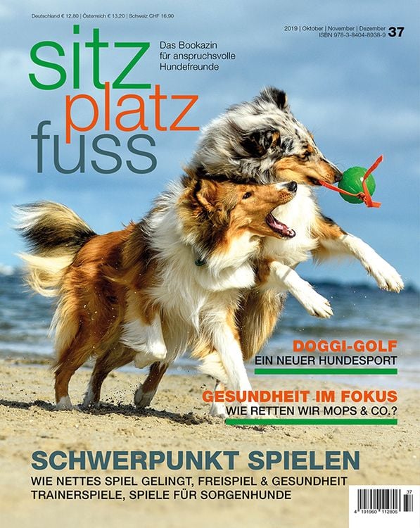 Produktbild: SitzPlatzFuss, Ausgabe 37