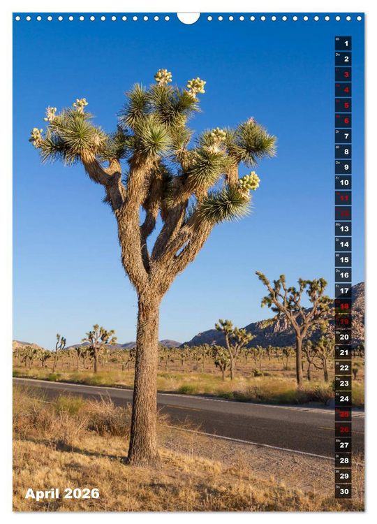 Produktbild: Impressionen aus dem JOSHUA TREE NATIONAL PARK (Wandkalender 2026 DIN A3 hoch), CALVENDO Monatskalender