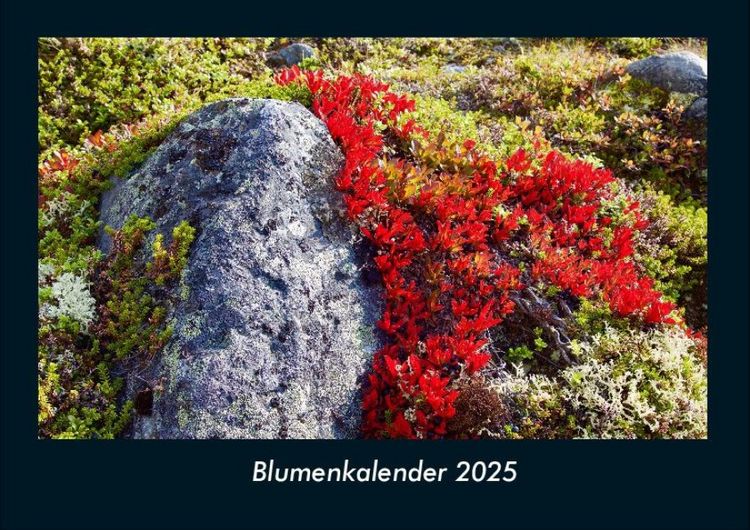 Produktbild: Blumenkalender 2025 Fotokalender DIN A4
