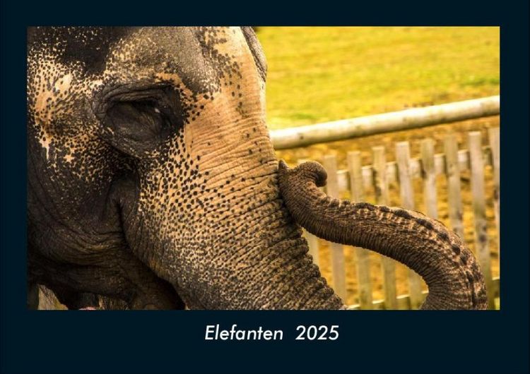 Produktbild: Elefanten 2025 Fotokalender DIN A4